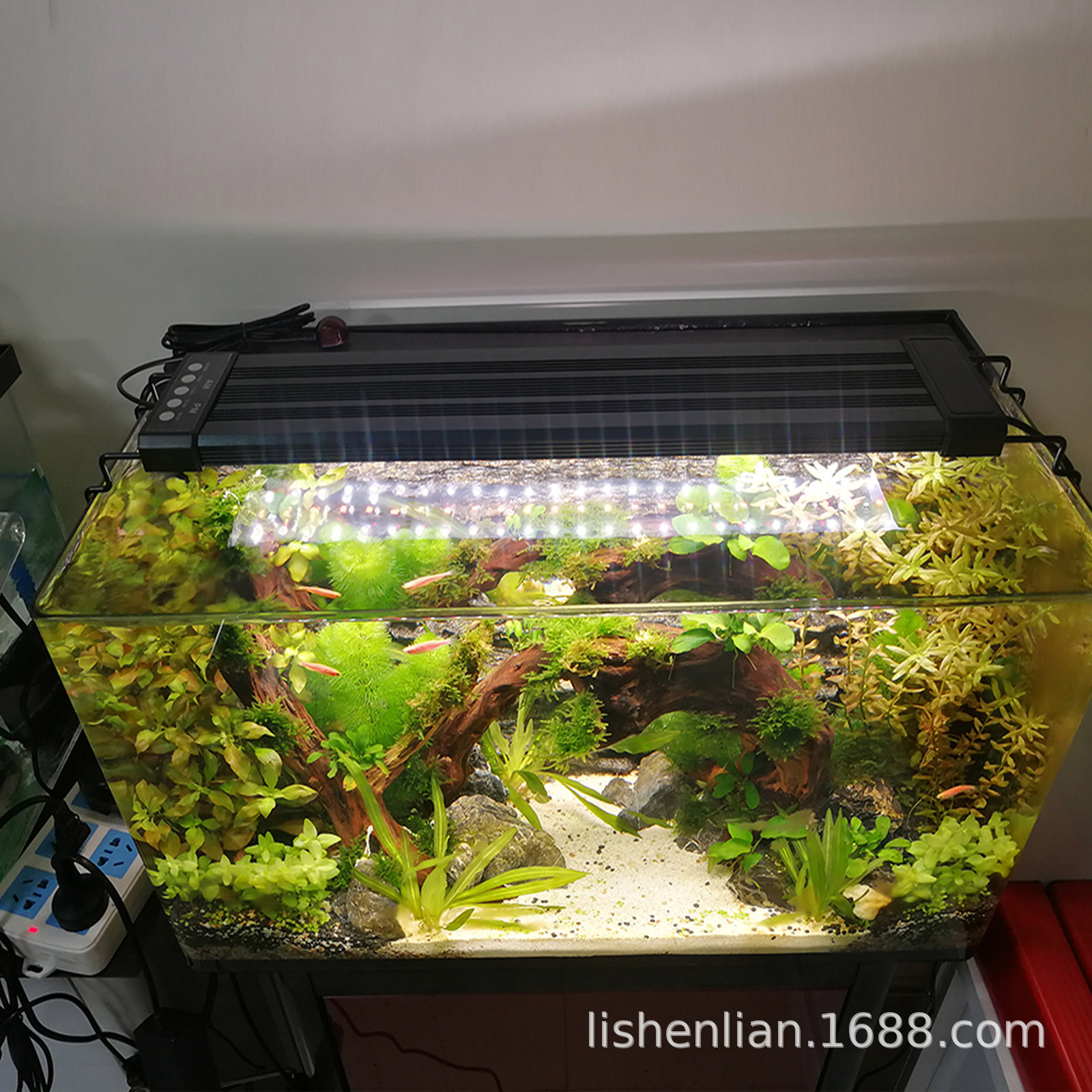 led��׵�led�쾰��������С�ͽ��ܸ���ˮ������ˮˮ�ݵ�