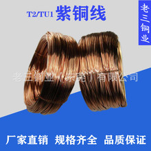 T2~ 煼~ ݽzTᔼt~ 4.2mm  4.5mm 4.6mm