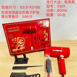 Longyun Dayun Double-Layer Moisturizing Blue Light Negative Ion Set Hair Dryer Set Gift Model 7501