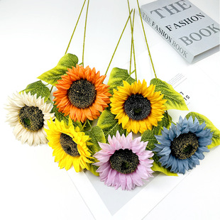 �Wʽ�ͮ����տ��ٻ��Ҿ�̫ꖻ����羳���N���滨��Y�ò����b�Ʒ