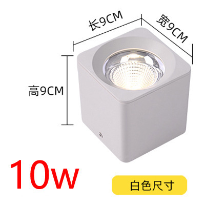 10w white light [6000k] white shell