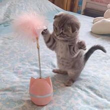 ؈��߶�؈����ë���������˽␞��K�D�P��؈����ĥ��С��؈���