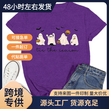 ����վŷ��Ascrazy ��ʥ��Ůʽ���� Tis The Season ��ʥ������ T