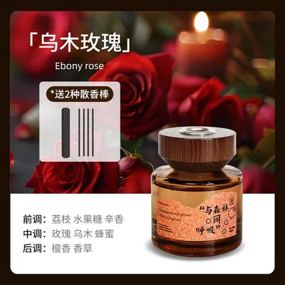 Car Air Freshener 2026 New Car Perfume Aromatherapy - ebony-rose-120ml