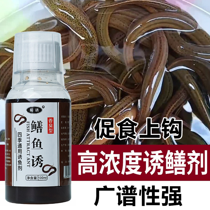 Pequeña medicina para anguila, cebo de cebo