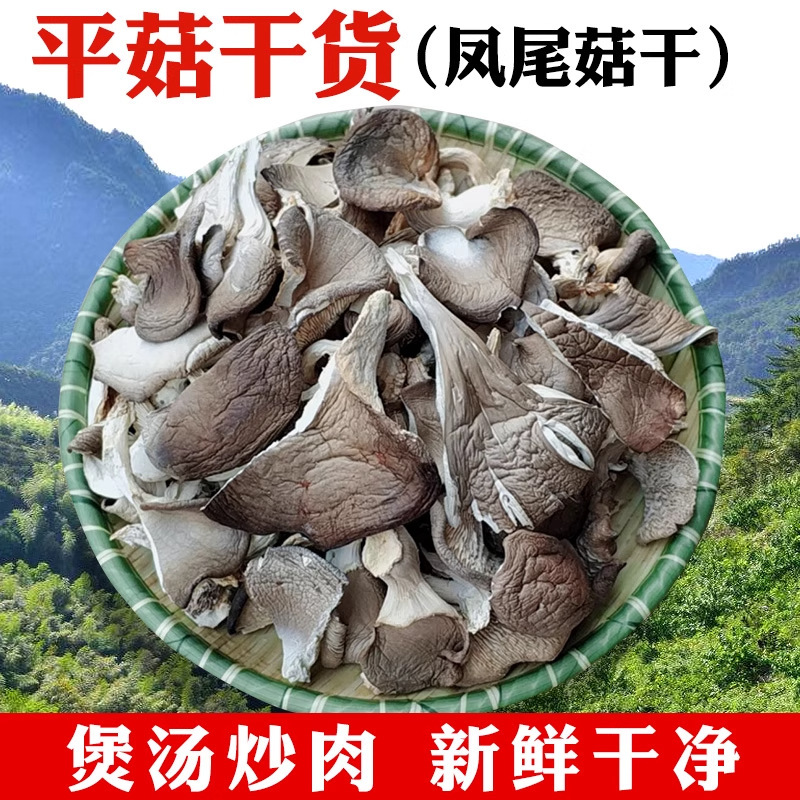 Dried Oyster Mushrooms, Dried White Oyster Mushrooms, Edible Nutritious Mushrooms, Non-Shiitake Mushrooms for Soup and Stew