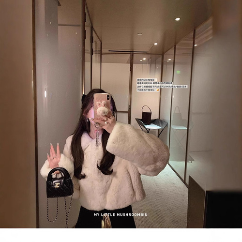 Small Tall Autumn and Winter Eco-Friendly Leather Plush Rabbit Hair Women's Coat Plus Size Short Plush Winter Coat Youth Style