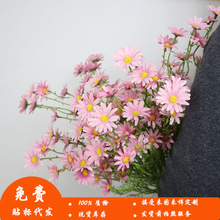仿真多头雏菊韩式菊家居室内装饰场景布置假花花束洋甘菊仿真花