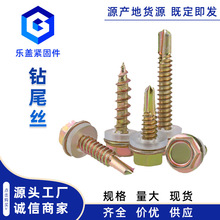 ����5.5�����β�z���m�Թ��ݽz�ݼy��˨�����β�����