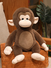 ϵ�������ӿɐ۴�������ż����@ͬ��С�J�﹫�а����˯����