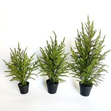 ����Gֲ��ᘆ�֦��ˇƷ������滨ܛ�z���Ԕ[�������}�Q���b�