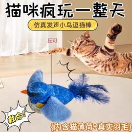 猫玩具仿真小鸟发声自嗨解闷消耗体力逗猫棒小猫幼猫玩具猫咪丘可