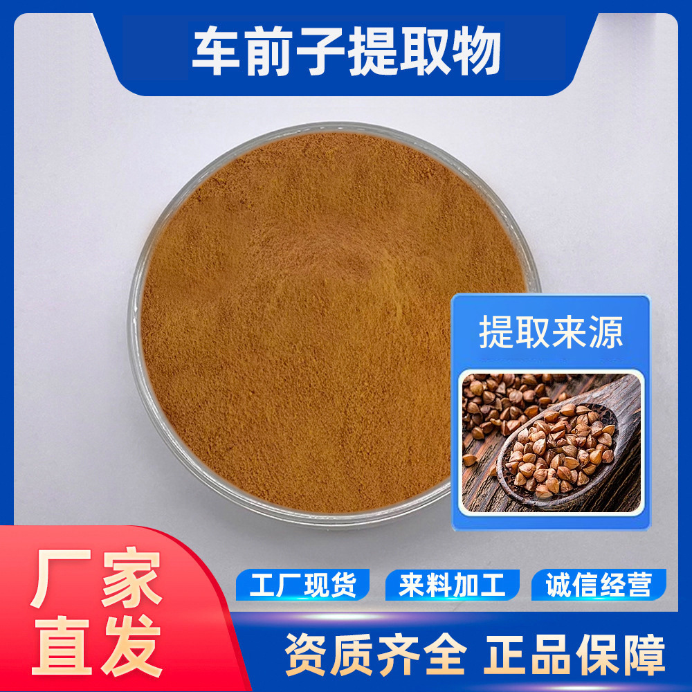车前子提取物 食品级原料 全水溶 车前子粉 现货包邮