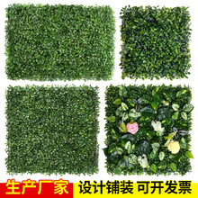 �������mֲ��������G���쾰�W�t�Gֲ�����ϑ����T�^�bٲ�ƺ