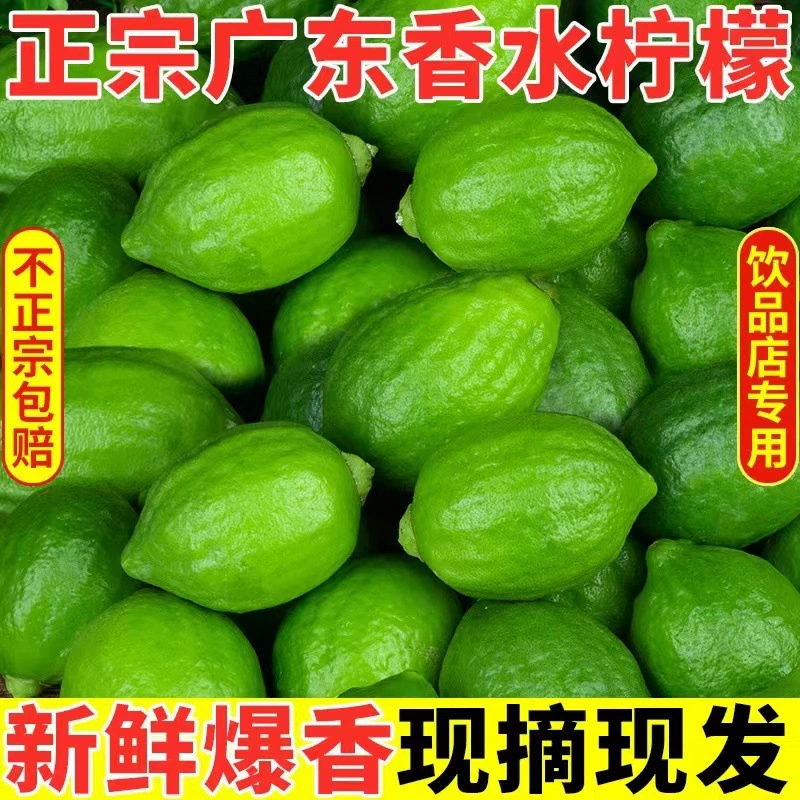 Гуандунский парфюм, лимон, свежий, аутентичный зеленый лимон, без косточек, большое фруктовое фруктовое фруктовое фруктовое фруктовое молоко первого класса, эксклюзивное для магазина чая