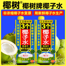 海南特产正宗椰树牌椰子水果汁饮料新鲜椰子肉鲜榨椰子汁水椰水汁