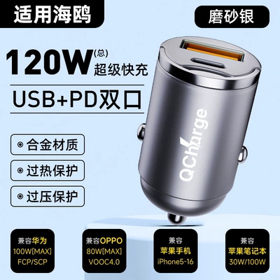 Suitable for BYD car charger Siqaret yandırıcısı - default-item-seagull-special-120w-hidden-model-matte-silver