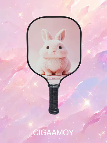 Sports Pickleball Racket Manufacturer Direct Sales Fiberglass Pickleball Set for Children and Students