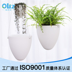 国境を越えた Oulinze フラワーポット卸売メーカー D 卵型ハンギング ポット プラスチック レイジー フラワー ポット スポット Amazon ガーデニング