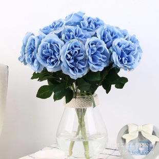 7�^ʷ����õ�����õ����滨���l����õ��廨�����껨�ٻ�