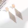 Capacious retro earrings, long silver needle, European style, silver 925 sample