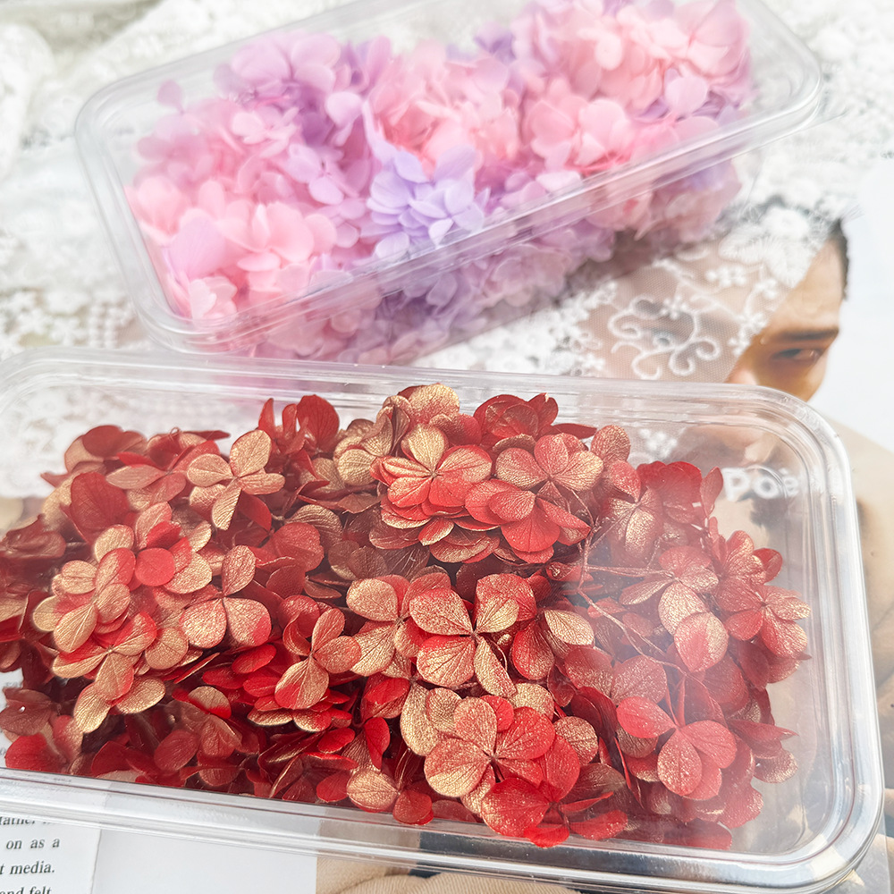 ✅ Flores secas flores eternas hortenida color gradiente material hecho a mano bolsa de calzado de boda cubierta de vidrio grupo de construcción de flores actividades