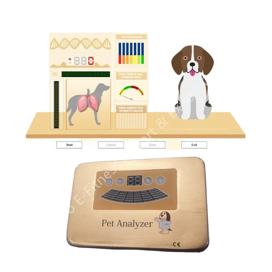 Резонансный магнитный анализатор для собак и кошек