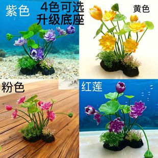 �S��ֱ�N�~�����Ϻ����b���ɻ��ٻ���Ʒˮ�����쾰����