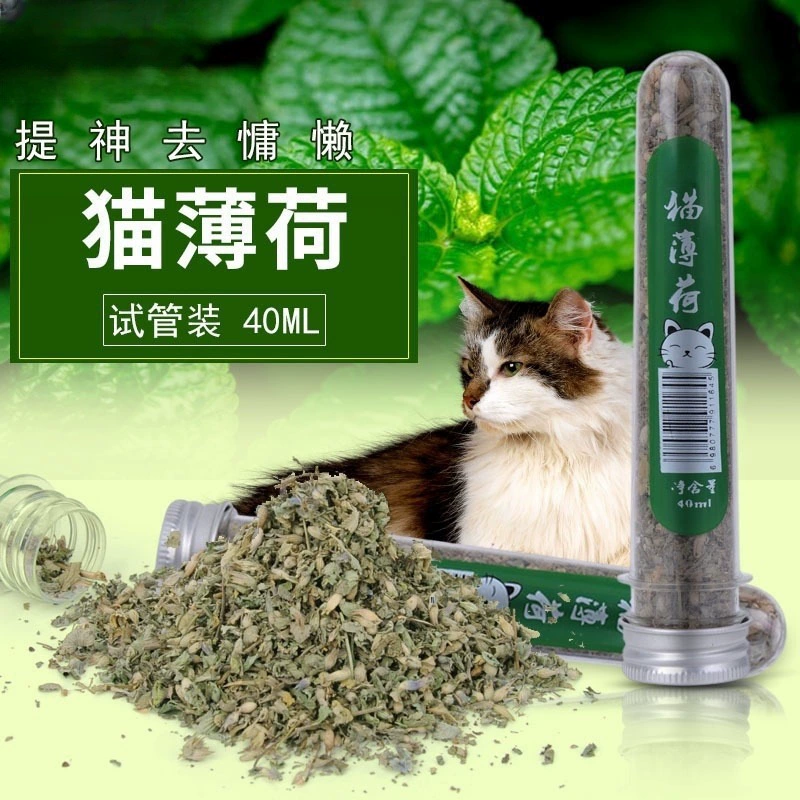 Производитель порошка кошачьей мяты производит и продает пробирку 40 мл, кошачьи закуски, шарик для удаления волос, порошок кошачьей мяты, цилиндрический грубый порошок