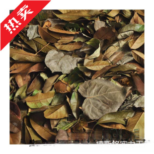 ��Ȼ�ɘ��~��Ȼ���~���~���~�ݘ��~�˿��~�b��Ĕz�������~��