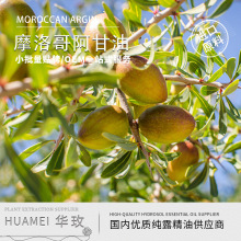 �����A�͡�Ħ���Թ��Ͱ����ͳ�ե���A���ֹ���ԭ�����l�ṩԭ��