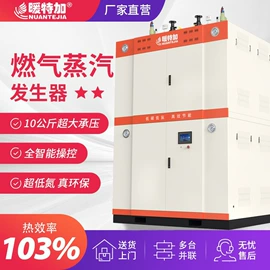 燃气锅炉;蒸汽发生器