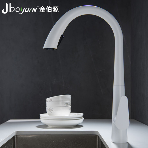 Xiaohongshu Kitchen Swan Neck Pull-out Hot and Cold Water Faucet for Washing Dishes and Vegetables, Made of 304 Stainless Steel