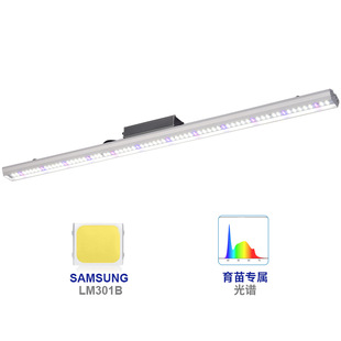 Plant growth fill light seedling 4000k leafy vegetables fleshy pitaya vegetables greenhouse led plant lamp