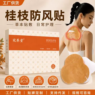 桂枝防风贴草本热敷贴艾草温灸贴肩颈腰背护理贴厂家直销现货批发