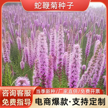 ߱޾շNӹ@^GNշNӾ^޸N