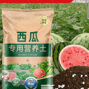 ���ϠI�B�������������B��������Nֲ�N�����������ʻ��|