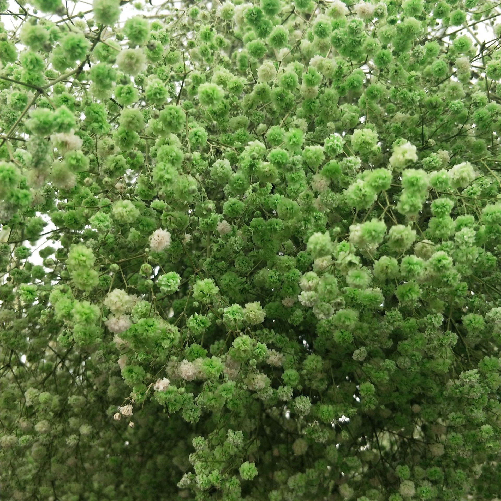 微信图片_20210715175911