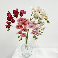 含阳仿真花 古典蝴蝶兰7头长枝绢布过胶手感仿真花家居婚庆装饰