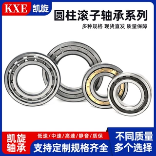 工厂销售圆柱滚子轴承N NU NJ 1009 1010 1011 1012 1013E EM ECM
