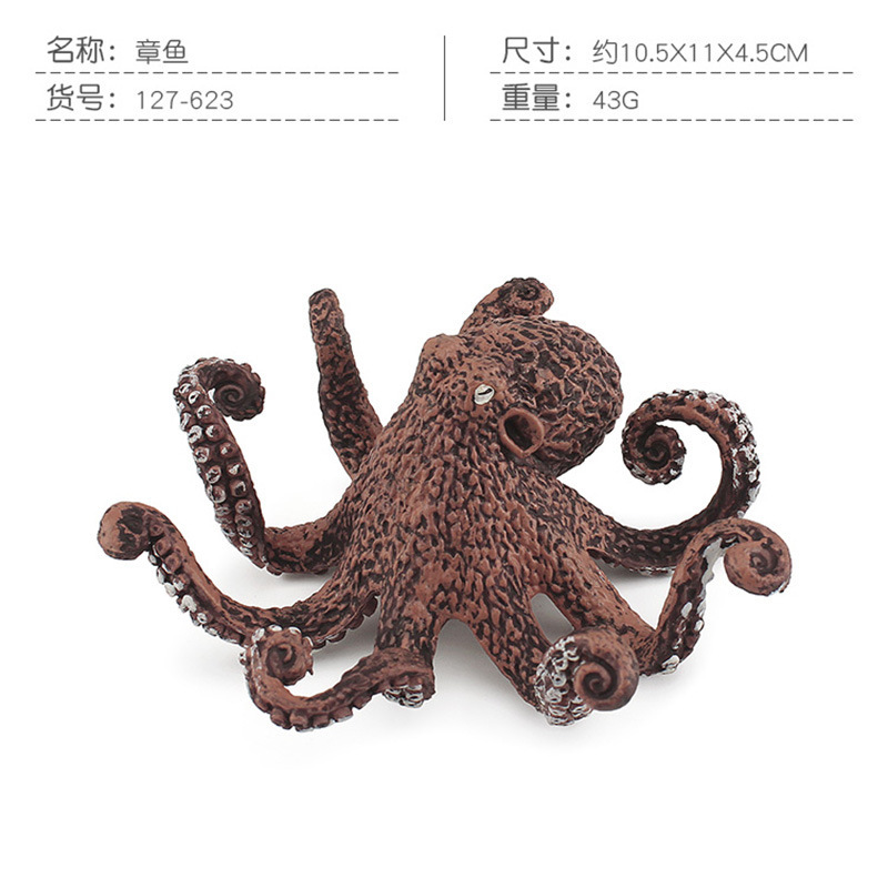 Pulpo PL127-623 43G