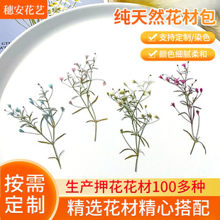 Wow, Custom-Made Natural Xiaoxia Grass Handmade Folding Fan, Dried Flower Pressed Flower Phone Case, Resin Holiday Greeting Card with Dried Flowers