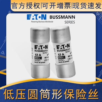 巴斯曼熔断器C22G63/80/100 22*58MM 对应的是C22G系列快速熔断器|ms