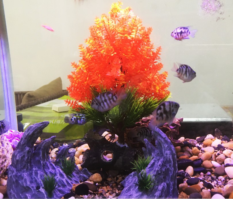 微信图片_202207271011