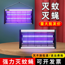 ���ß����ü�����Ü�ω���������ω���nω��ω�����һ�����N