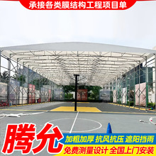 ����@��������s���� ���w���S�Ƅӂ}���� �����ۯB�}��������