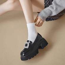 טЬŮ2025¿ˮ荴ָɫСƤЬӢЬ