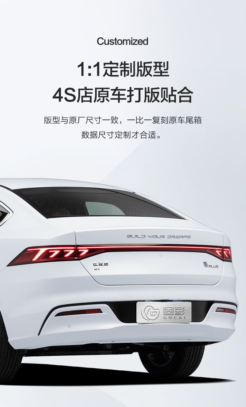 Suitable for Byd Qin Plusdmi New Energy Ev Special Pro Trunk Mat Car Supplies Trunk Mat Waterproof