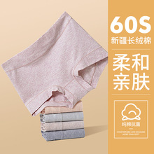60支新疆长绒棉高腰收腹内裤纯棉女士抗菌提臀女士内裤平角裤批发