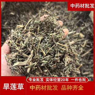 ��īɏ��ɏ��ī��ɏ�Ƀ��o�s�|�����Ĕz�ЙCș��ș����ș��ֲ��